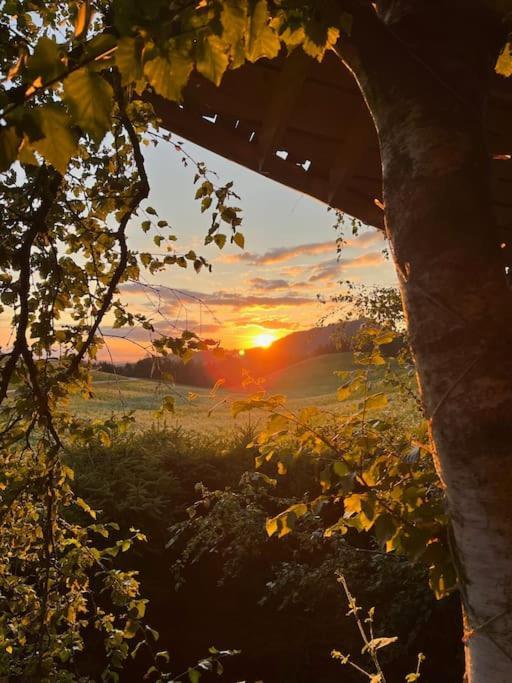 Nuit Insolite - La Cabane Du Haut-Doubs Les Gras Exterior foto